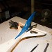 Marston Shark Kit