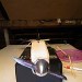 Marston Shark Kit