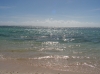 IMAGE0002.JPG