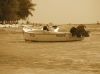 IMAGE0009.JPG