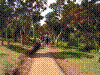 NATPARK-10.JPG