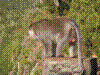 NATPARK-14.JPG