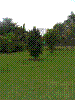 PAMPLE-003.JPG