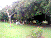 PAMPLE-006.JPG