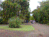 PAMPLE-014.JPG