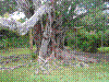 PAMPLE-016.JPG