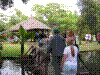 PAMPLE-017.JPG