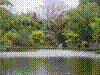 PAMPLE-021.JPG