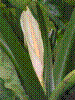 PAMPLE-022.JPG