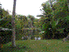 PAMPLE-023.JPG