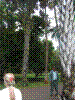 PAMPLE-024.JPG