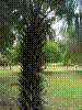 PAMPLE-025.JPG