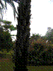 PAMPLE-026.JPG