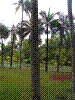 PAMPLE-027.JPG