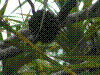 PAMPLE-028.JPG