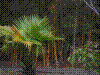 PAMPLE-029.JPG