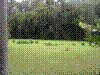 PAMPLE-031.JPG