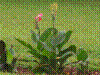 PAMPLE-032.JPG