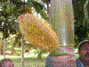 PAMPLE-033.JPG