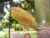 PAMPLE-034.JPG