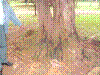 PAMPLE-039.JPG