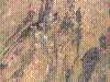 PAMPLE-040.JPG