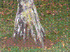 PAMPLE-042.JPG