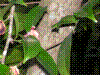 PAMPLE-049.JPG