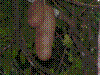 PAMPLE-053.JPG