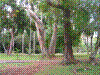 PAMPLE-055.JPG