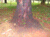 PAMPLE-057.JPG