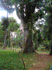 PAMPLE-059.JPG