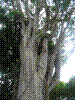 PAMPLE-060.JPG
