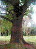 PAMPLE-061.JPG