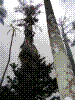 PAMPLE-063.JPG