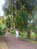 PAMPLE-064.JPG