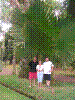 PAMPLE-067.JPG