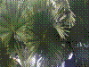PAMPLE-068.JPG