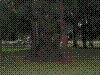 PAMPLE-071.JPG