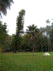 PAMPLE-073.JPG