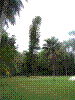 PAMPLE-074.JPG