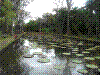 PAMPLE-076.JPG