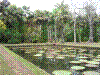 PAMPLE-080.JPG