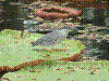PAMPLE-081.JPG