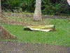 PAMPLE-083.JPG