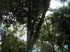 PAMPLE-086.JPG