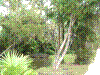 PAMPLE-087.JPG