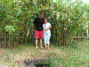 PAMPLE-089.JPG