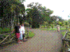 PAMPLE-090.JPG