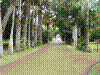 PAMPLE-091.JPG